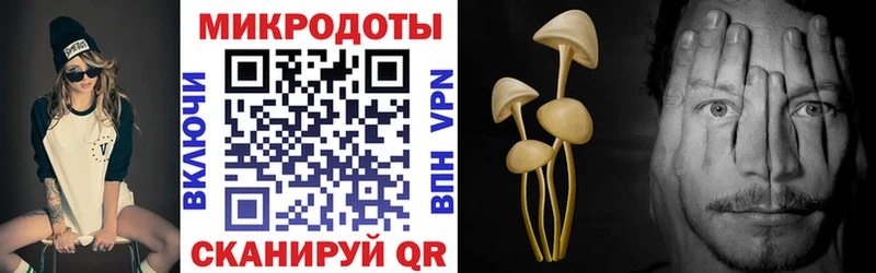 цена Кувандык Галлюциногенные грибы ЛСД